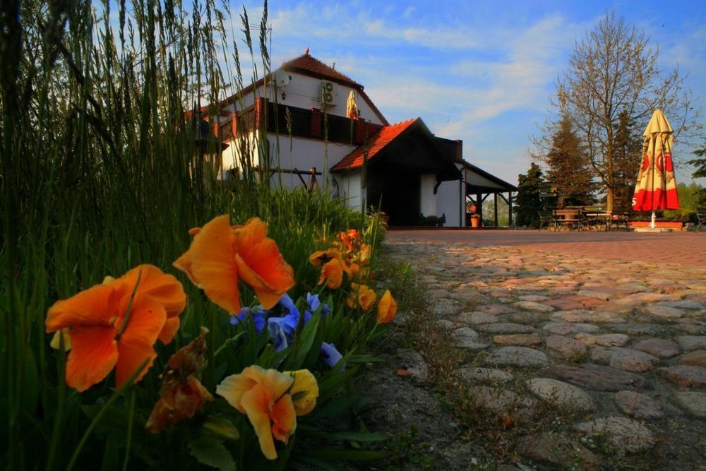 Hotel Stara Stajnia Pleszew Extérieur photo